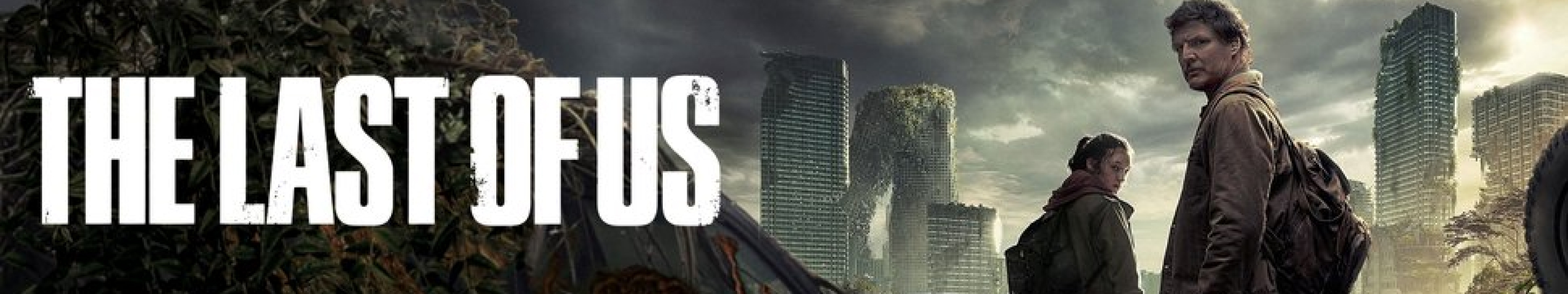 banner long1